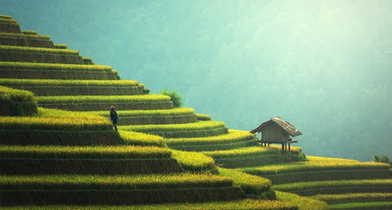 Sustainable style